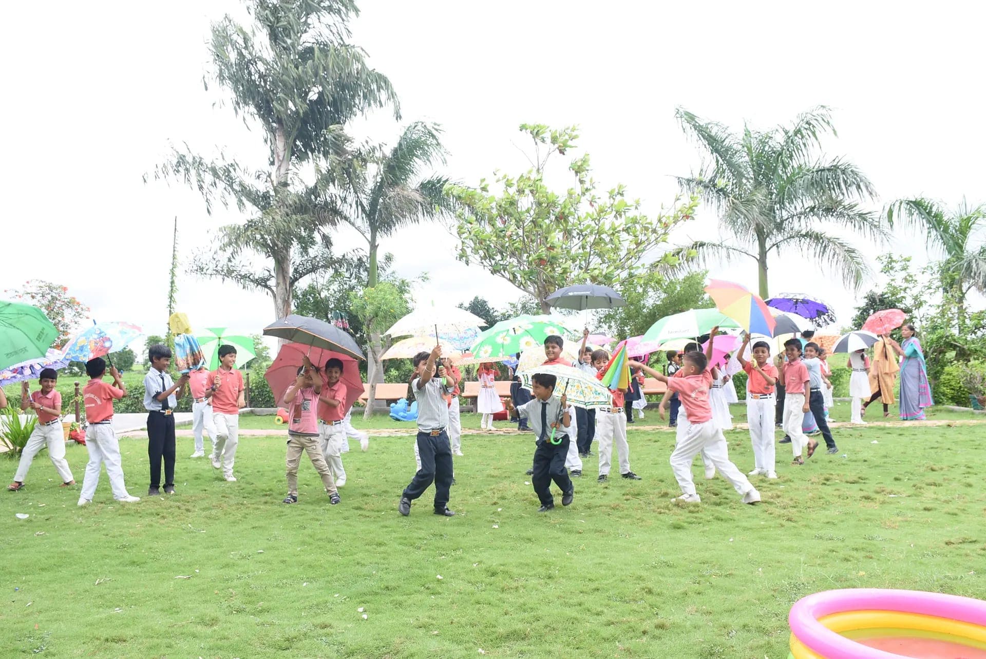 Rainy Day & Plantation